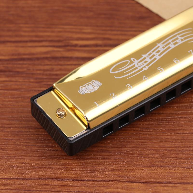 Metal Harmonica for Kids Begin - огляд і ціна Harmonica 10 Hole