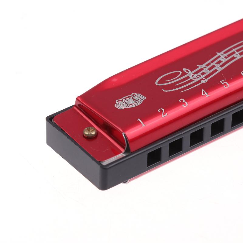 Metal Harmonica for Kids Begin - огляд і ціна Harmonica 10 Hole