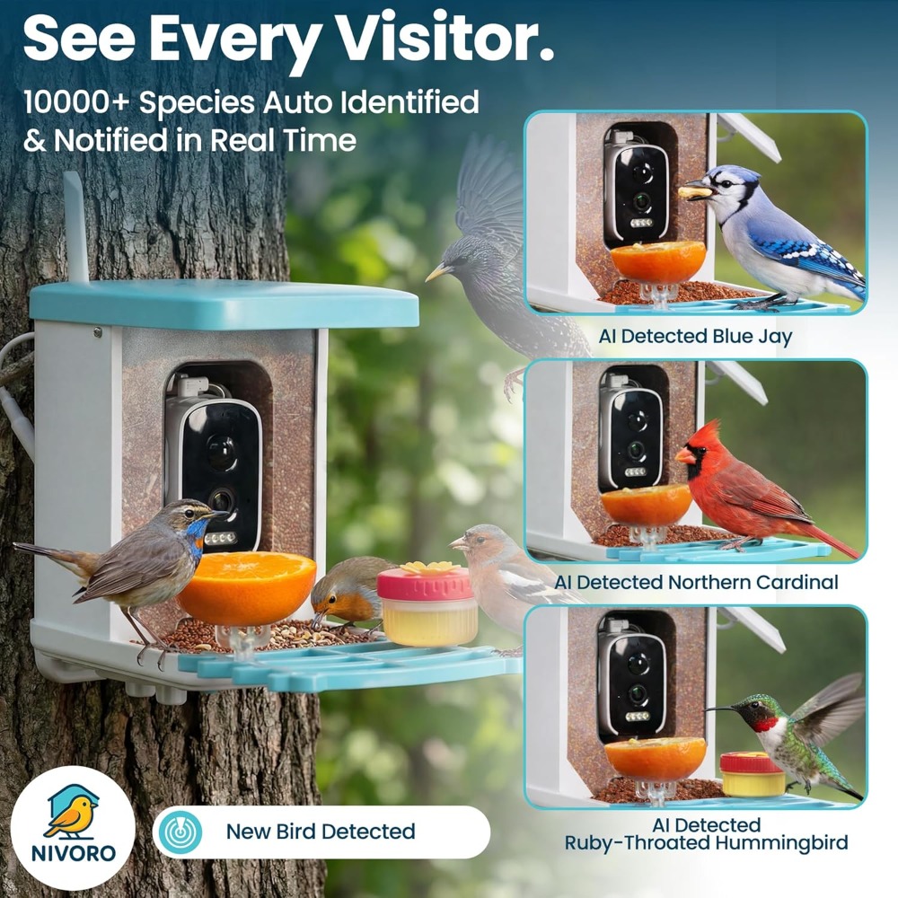 AI Smart Bird Feeder with Came - огляд і ціна Audio & Music Xbox